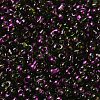 Spray Painted Glass Seed Beads SEED-F005-07A-03-3