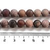 Frosted Natural Petrified Wood Round Bead Strands G-F266-07-8mm-01-4