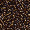 6/0 Glass Seed Beads SEED-A005-4mm-53-2