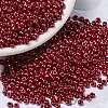 MIYUKI Round Rocailles Beads SEED-X0055-RR0426-1