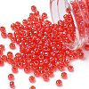 TOHO 6/0 Round Beads X-SEED-TR06-0109-1