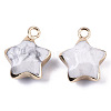 Natural Howlite Pendants G-N326-36L-2