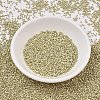 MIYUKI Delica Beads SEED-JP0008-DB1831F-2