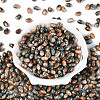 Glass Seed Beads SEED-T009-02F-1