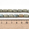 Natural Variscite Beads Strands G-N346-01B-14-5