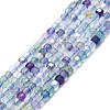 Natural Fluorite Beads Strands G-P457-B01-45-1