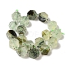 Natural Prehnite Beads Strands G-P534-A01-01-3