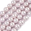 Electroplated Shell Pearl Beads Strands BSHE-G041-10mm-06-1