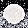 Transparent Glass Seed Beads SEED-N007-33A-01-1