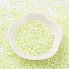 Baking Paint Glass Seed Beads X-SEED-S042-15B-24-2