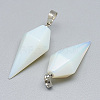 Opalite Pendants G-T102-08R-2