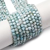 Natural Larimar Beads Strands G-F803-C01-02-2