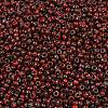 MIYUKI Round Rocailles Beads X-SEED-G008-RR4513-2