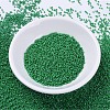 MIYUKI Delica Beads SEED-X0054-DB0655-2