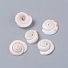 Natural Shiva Eye Shell Beads BSHE-D019-03-2