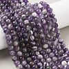 Natural Amethyst Beads Strands G-M445-8MM-01E-2