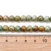 Natural Peruvian Turquoise(Jasper) Beads Strands G-T150-A01-6mm-4