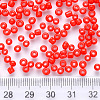 6/0 Baking Paint Glass Round Seed Beads SEED-S036-01C-15-3
