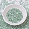MIYUKI Delica Beads X-SEED-J020-DB0829-2