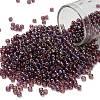 TOHO 8/0 Round Beads SEED-XTR08-0166B-1