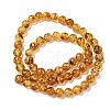 Natural Amber Beads Strands G-K387-D02-01-4
