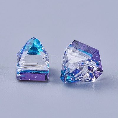 Flat Back K9 Glass Rhinestone Charms RGLA-F062-B-1