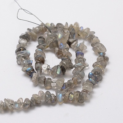 Natural Labradorite Chip Bead Strands L-G-M298-06-1