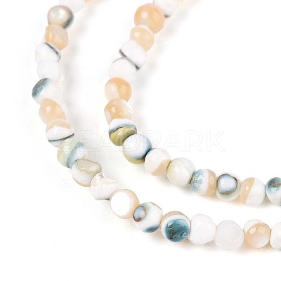 Luminous Natural Seashell Shell Beads Strands SSHEL-N040-05-1