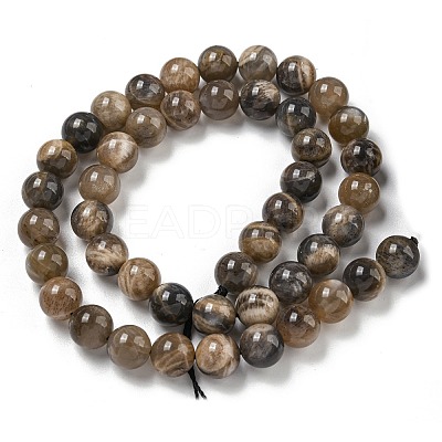 Natural Black Moonstone Beads Strands G-Q183-A01-01-1