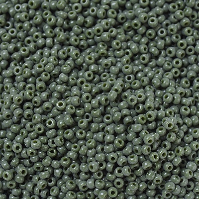 MIYUKI Round Rocailles Beads SEED-G007-RR0501-1