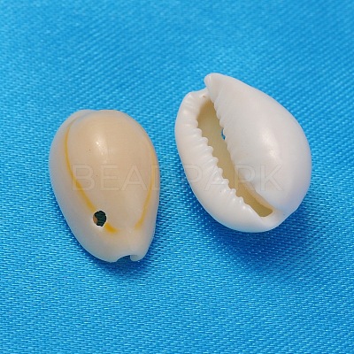 Natural Cowrie Shell Beads BSHE-S055-1