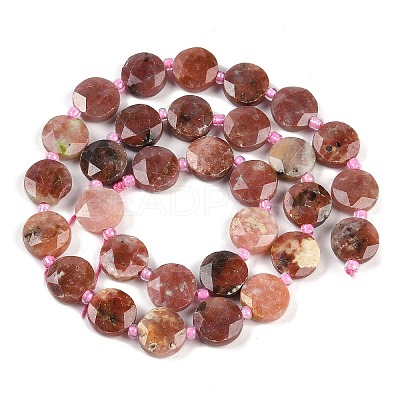 Natural Plum Blossom Jasper Beads Strands G-C116-A16-01-1