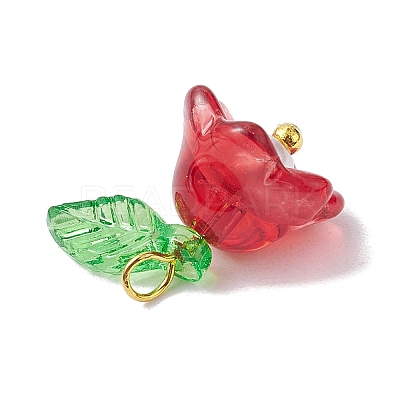 Mixed Color Glass Pearl & Acrylic Charms PALLOY-JF02567-02-1