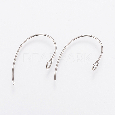 Tarnish Resistant 304 Stainless Steel Earring Hooks STAS-F148-05P-1