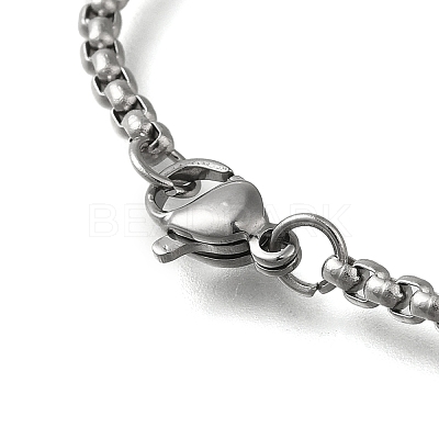 201 Stainless Steel Crescent Moon with Moth Pendant Box Chain Necklaces STAS-D196-01P-1