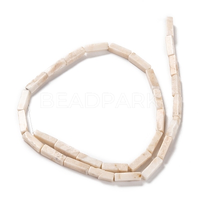 Natural Petrified Wood Beads Strands G-G837-20-1