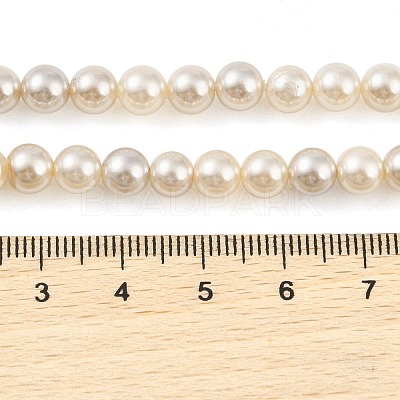 Electroplated Natural Freshwater Shell Beads Strands BSHE-G036-22-1