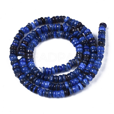 Natural Freshwater Shell Beads Strands SHEL-S278-067A-1