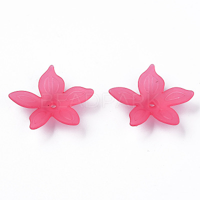 Transparent Acrylic Beads X-MACR-S373-127-D-1