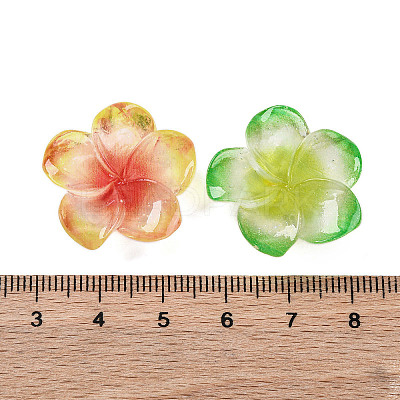 Opaque Resin Cabochons RESI-R455-01F-1
