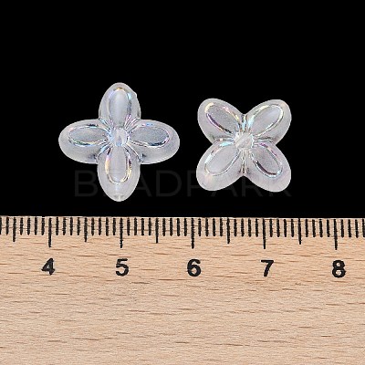 Frosted Transparent Acrylic Beads OACR-P029-09B-05-1
