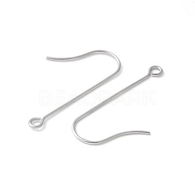316 Surgical Stainless Steel Earring Hooks STAS-Z124-02B-P-1