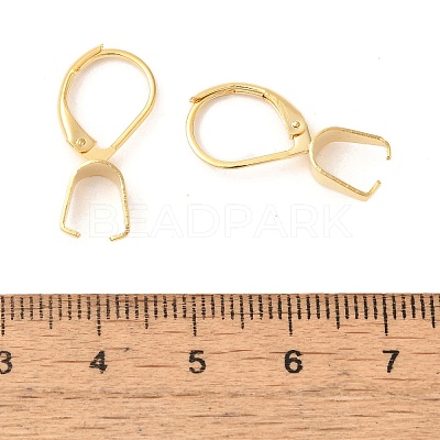 304 Stainless Steel Leverback Earring Findings Ion Plating(IP) STAS-U025-01G-02-1