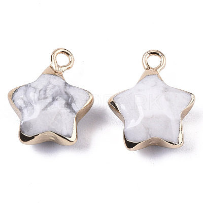 Natural Howlite Pendants G-N326-36L-1