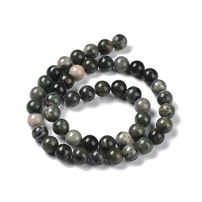 Natural Wood Lace Stone Wooden Jasper Beads Strands G-P497-02B-01-1