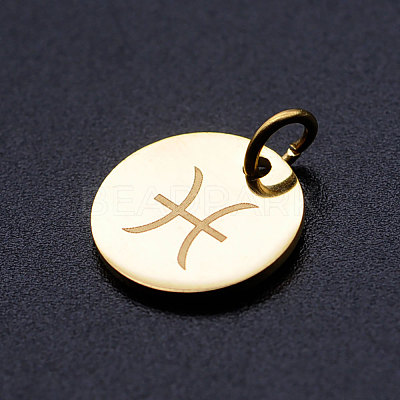 201 Stainless Steel Charms STAS-T049-T644-12G-1