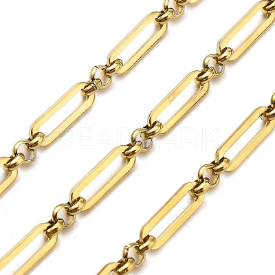 Ion Plating(IP) 304 Stainless Steel Oval Link Chains CHS-G039-17G-1