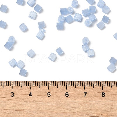 Glass Seed Beads SEED-H002-D-A813-1