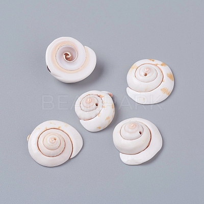 Natural Shiva Eye Shell Beads BSHE-D019-03-1