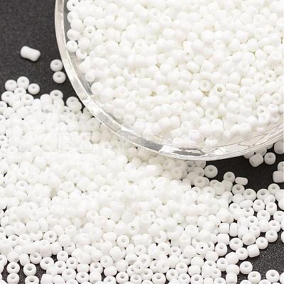 8/0 Glass Seed Beads X-SEED-J014-F8-41-1